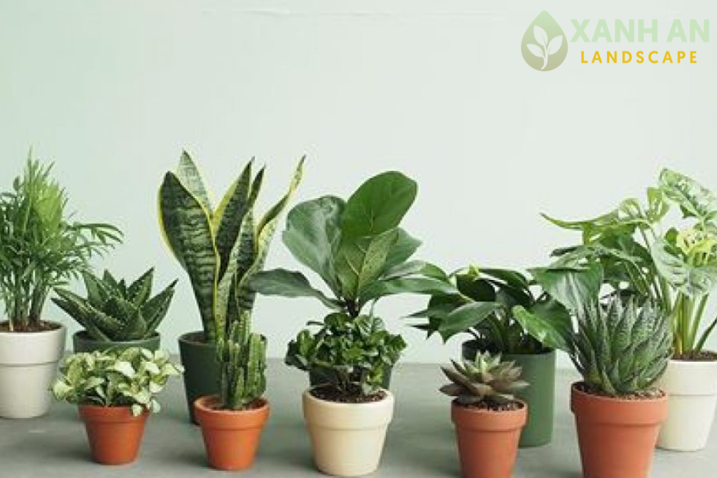 Lợi ý khi sử dụng dịch vụ của chúng tôi Lợi ý khi sử dụng dịch vụ của chúng tôi