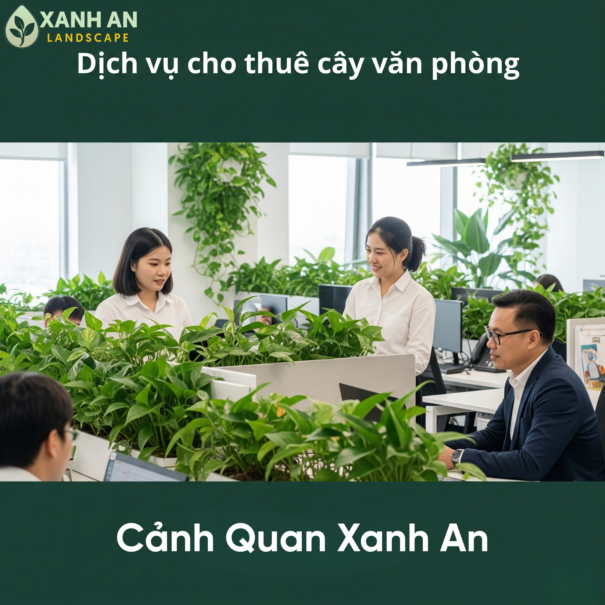 Dịch vụ cho thuê cây cảnh văn phòng Phú Giáo Dịch vụ cho thuê cây cảnh văn phòng Phú Giáo