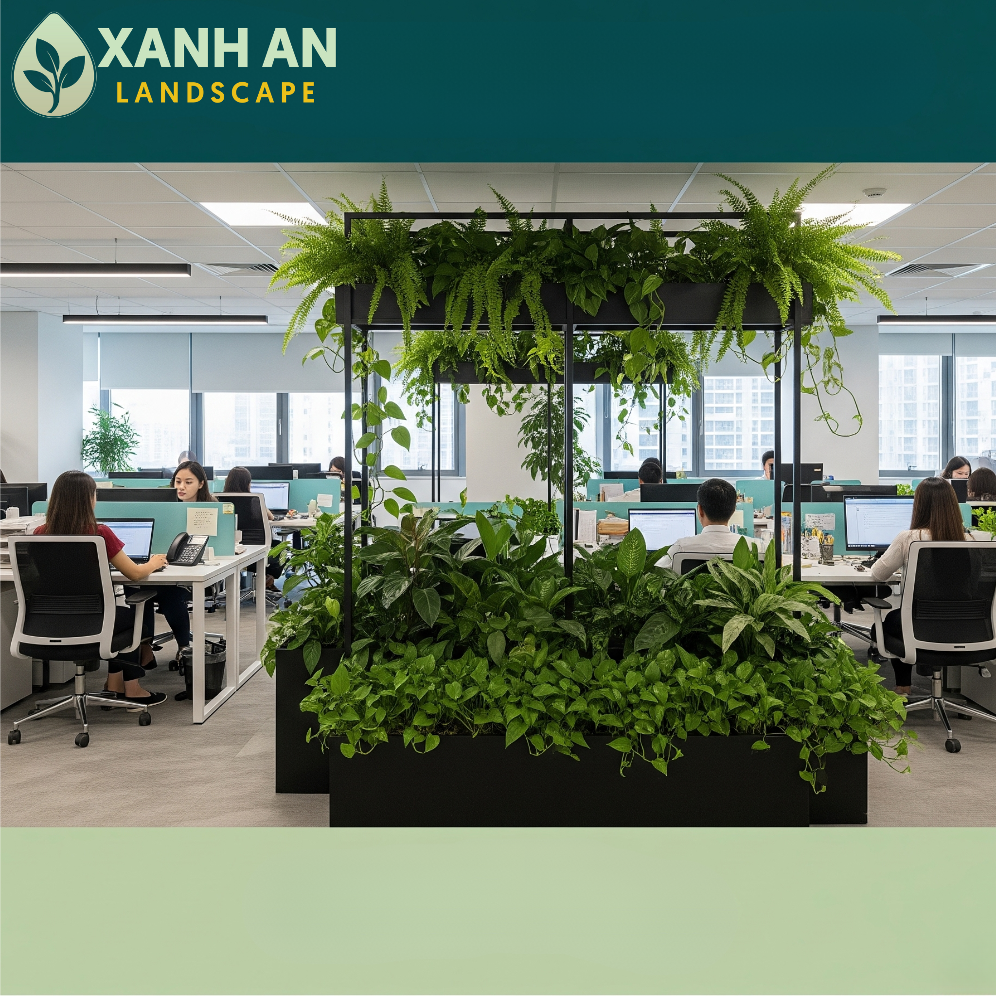 Vì sao thuê cây xanh trở thành xu hướng Vì sao thuê cây xanh trở thành xu hướng