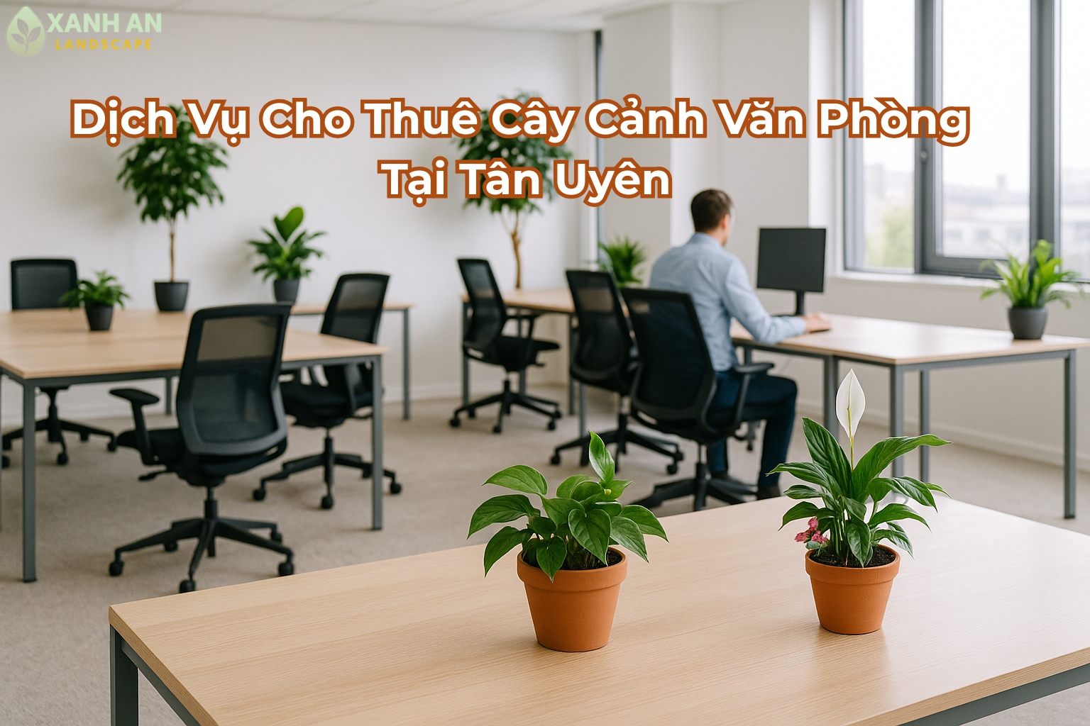 Dịch vụ cho thuê cây cảnh văn phòng Tân Uyên Dịch vụ cho thuê cây cảnh văn phòng Tân Uyên
