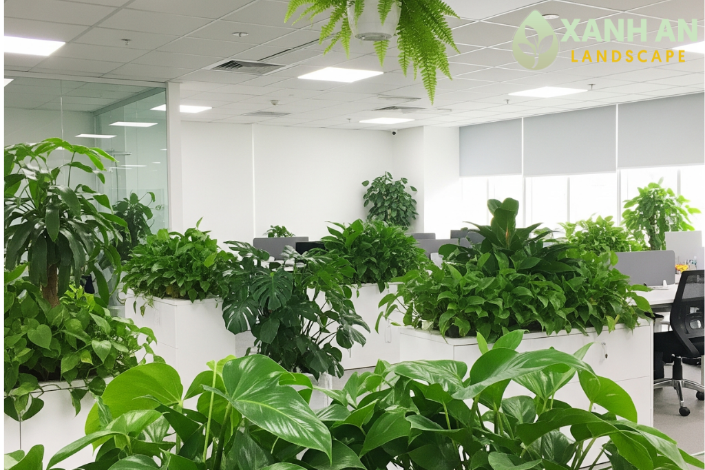 Dịch vụ cho thuê cây xanh nội thất Bàu Bàng Dịch vụ cho thuê cây xanh nội thất Bàu Bàng