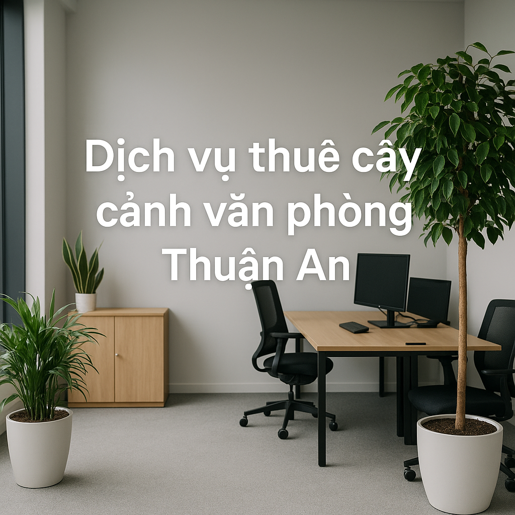 Dịch vụ thuê cây cảnh văn phòng Thuận An Dịch vụ thuê cây cảnh văn phòng Thuận An