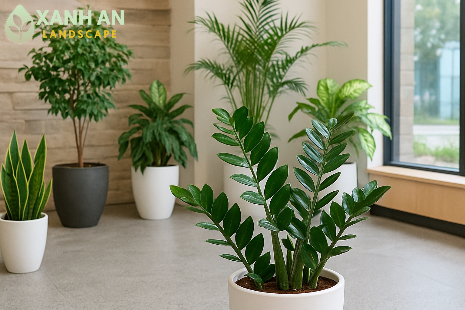 Ưu điểm khi thue cây xanh tại Cảnh Quan Xanh An Ưu điểm khi thue cây xanh tại Cảnh Quan Xanh An