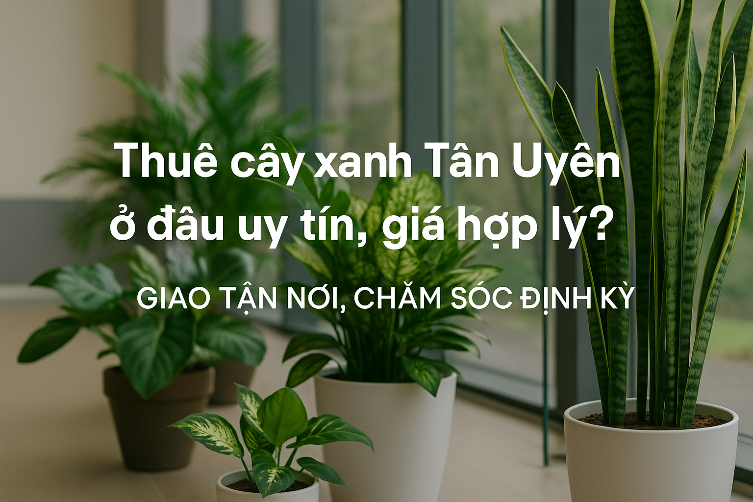 Dịch vụ thuê cây xanh Tân Uyên Dịch vụ thuê cây xanh Tân Uyên