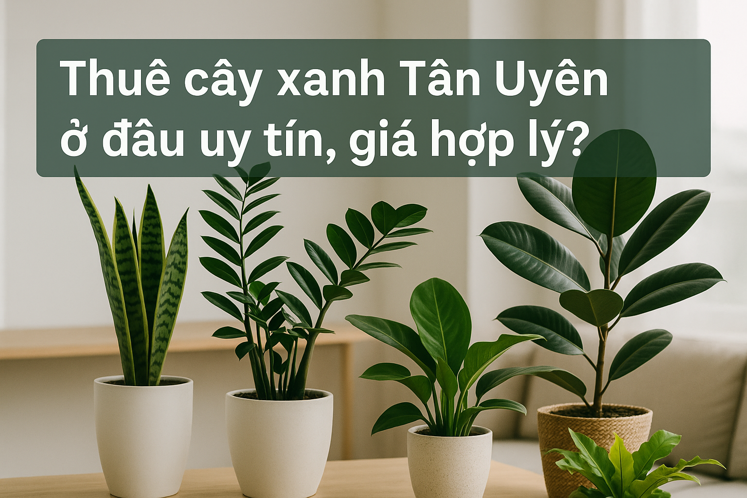 Quy trình thuê cây xanh tại Cảnh Quan Xanh An Quy trình thuê cây xanh tại Cảnh Quan Xanh An