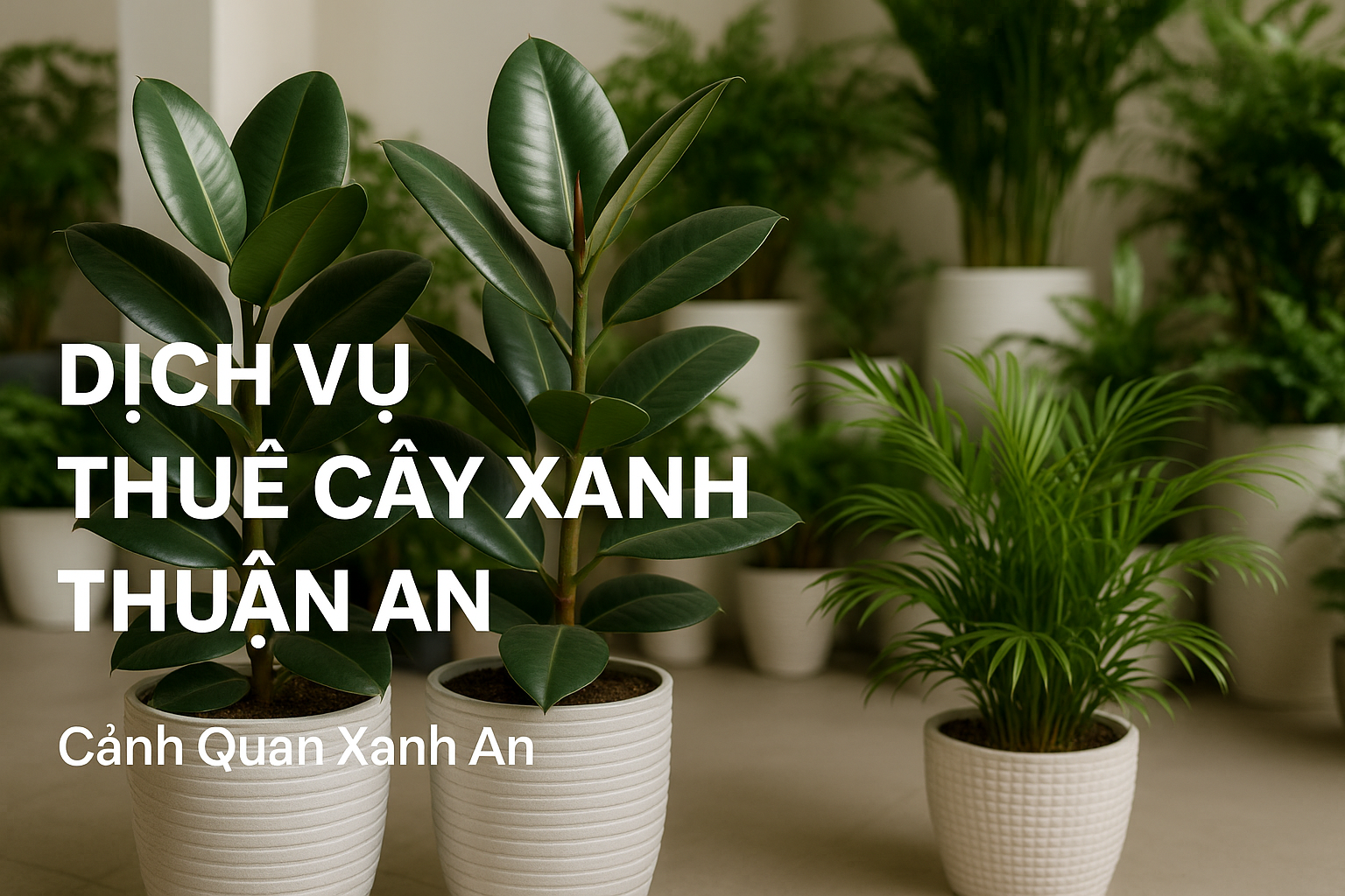 Ưu điểm khi chọn thuê cây xanh tại Cảnh Quan Xanh An Ưu điểm khi chọn thuê cây xanh tại Cảnh Quan Xanh An