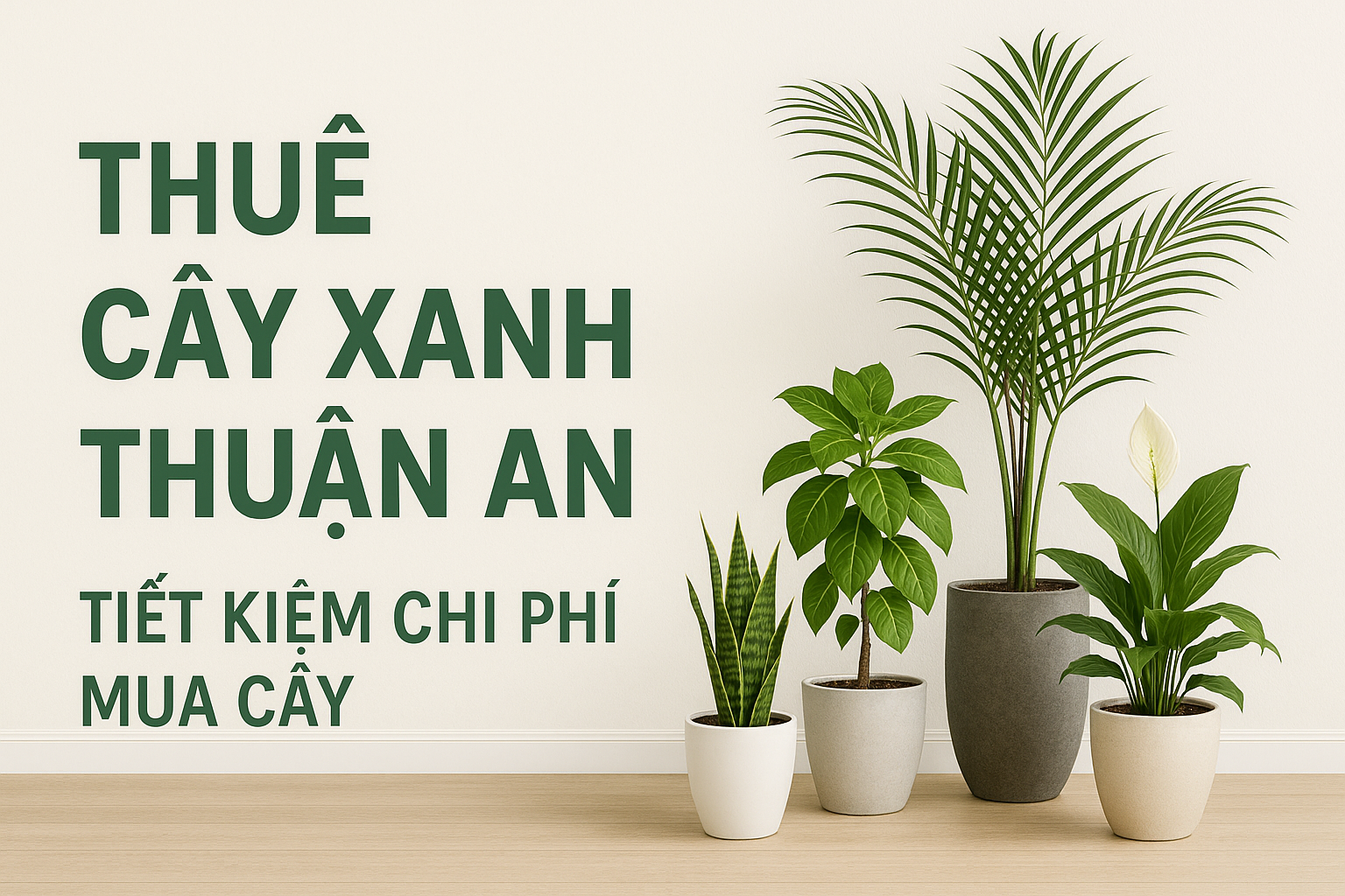 Dịch vụ thuê cây xanh Thuận An Dịch vụ thuê cây xanh Thuận An