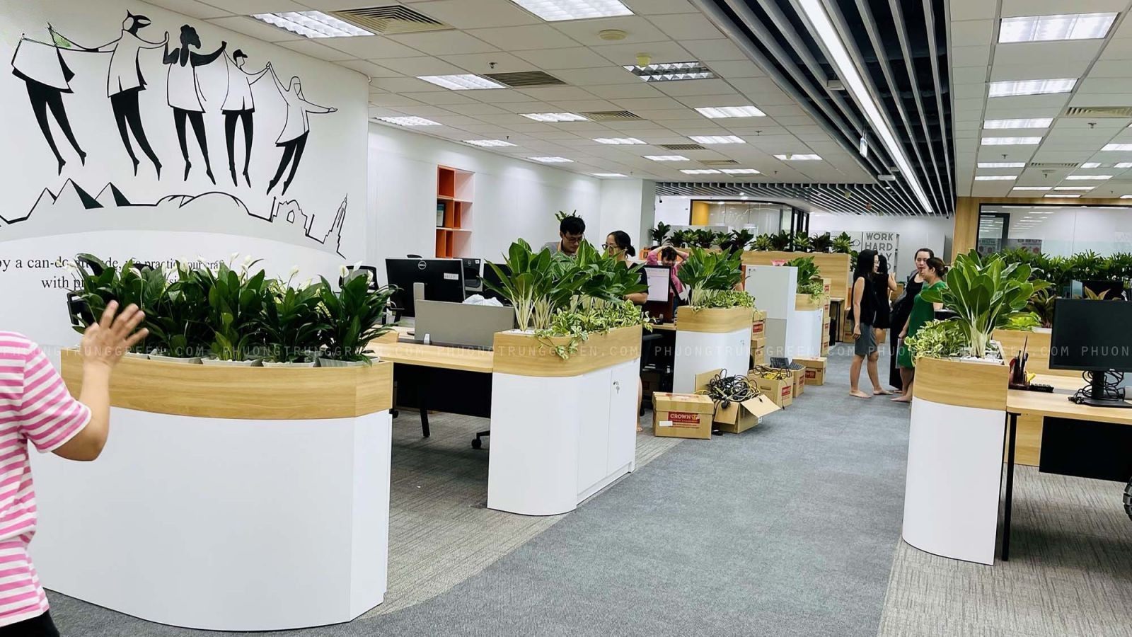 5 Lưu ý cần biết khi thuê cây cảnh văn phòng 5 Lưu ý cần biết khi thuê cây cảnh văn phòng