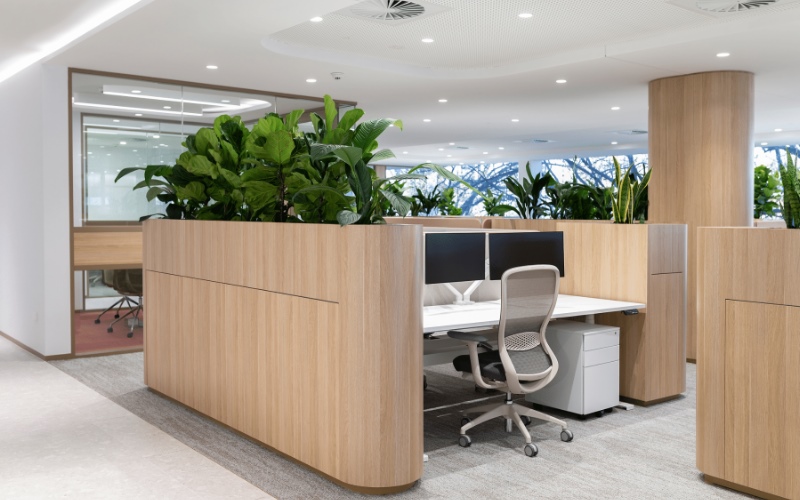 Top 10 thiết kế tiểu cảnh cây văn phòng chuyên nghiệp