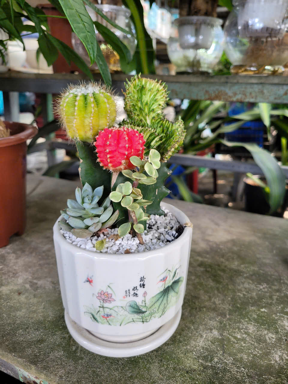 Thi công cảnh quan khu đô thị Bình Dương