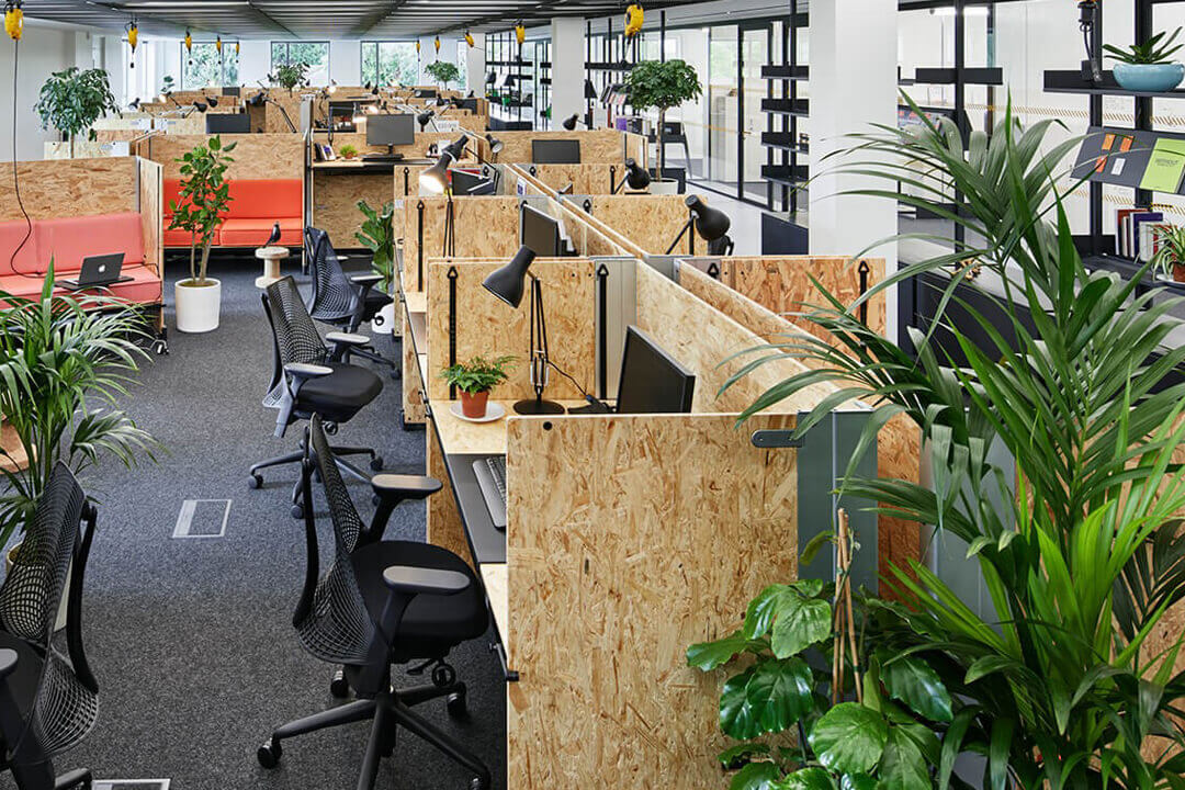 Lợi ích khi thuê cây văn phòng